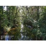 Zdjęcia użytkowników Samsung Galaxy A70 Zdjęcia użytkowników Samsung Galaxy A70