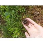 Zdjęcia użytkowników Samsung Galaxy A70 Zdjęcia użytkowników Samsung Galaxy A70