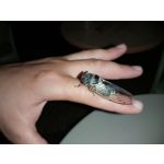 Zdjęcia użytkowników Samsung Galaxy A70 Zdjęcia użytkowników Samsung Galaxy A70