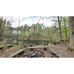 Zdjęcia użytkowników Samsung Galaxy A70 Zdjęcia użytkowników Samsung Galaxy A70