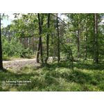 Zdjęcia użytkowników Samsung Galaxy A70 Zdjęcia użytkowników Samsung Galaxy A70