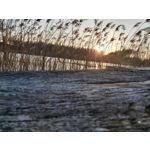 Zdjęcia użytkowników Samsung Galaxy A70 Zdjęcia użytkowników Samsung Galaxy A70