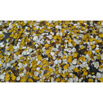 Zdjęcia użytkowników Samsung Galaxy Ace 2