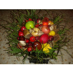 Zdjęcia użytkowników Samsung Galaxy Ace 2