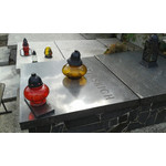 Zdjęcia użytkowników Samsung Galaxy Ace 2