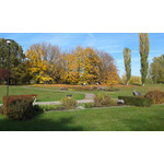 Zdjęcia użytkowników Samsung Galaxy Ace 2