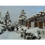 Zdjęcia użytkowników Samsung Galaxy Ace 2