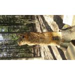 ZDJĘCIA Z TEGO TELEFONU