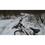 Zdjęcia użytkowników Samsung Galaxy Core LTE