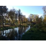 Zdjęcia użytkowników Samsung Galaxy Core Prime