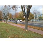 ZDJĘCIA Z TEGO TELEFONU