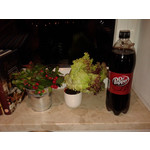 Zdjęcia użytkowników Samsung Galaxy Core