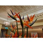 Zdjęcia użytkowników Samsung Galaxy Fold