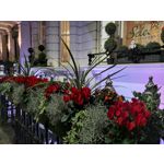 Zdjęcia użytkowników Samsung Galaxy Fold