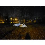 Zdjęcia użytkowników Samsung Galaxy Fold