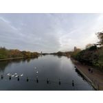 Zdjęcia użytkowników Samsung Galaxy Fold