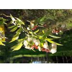 ZDJĘCIA Z TEGO TELEFONU