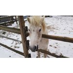 Zdjęcia użytkowników Samsung Galaxy J5 SM-J500F