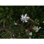 Zdjęcia użytkowników Samsung Galaxy J5 SM-J500F