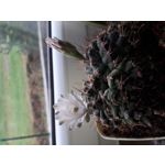 Zdjęcia użytkowników Samsung Galaxy J6 Zdjęcia użytkowników Samsung Galaxy J6