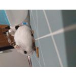 ZDJĘCIA Z TEGO TELEFONU