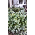 Zdjęcia użytkowników Samsung Galaxy J7 2017 Dual SIM