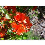 Zdjęcia użytkowników Samsung Galaxy J7 2017 Dual SIM