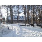 Zdjęcia użytkowników Samsung Galaxy K Zoom LTE