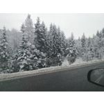 Zdjęcia użytkowników Samsung Galaxy K Zoom LTE