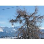 Zdjęcia użytkowników Samsung Galaxy K Zoom LTE