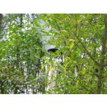 Zdjęcia użytkowników Samsung Galaxy K Zoom LTE