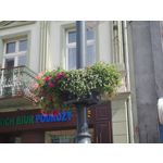 Zdjęcia użytkowników Samsung Galaxy K Zoom LTE