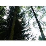 Zdjęcia użytkowników Samsung Galaxy K Zoom LTE