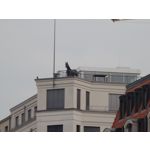 Zdjęcia użytkowników Samsung Galaxy K Zoom LTE