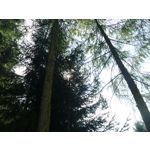 Zdjęcia użytkowników Samsung Galaxy K Zoom LTE