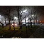 Zdjęcia użytkowników Samsung Galaxy M31s