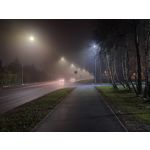 Zdjęcia użytkowników Samsung Galaxy M31s