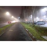 Zdjęcia użytkowników Samsung Galaxy M31s