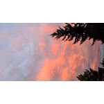 ZDJĘCIA Z TEGO TELEFONU