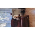 ZDJĘCIA Z TEGO TELEFONU