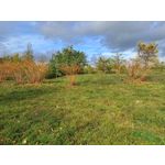 Zdjęcia użytkowników Samsung Galaxy M34 5G