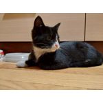 Zdjęcia użytkowników Samsung Galaxy M51 Dual SIM