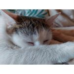 Zdjęcia użytkowników Samsung Galaxy M51 Dual SIM