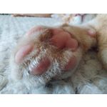 Zdjęcia użytkowników Samsung Galaxy M51 Dual SIM