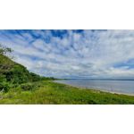 Zdjęcia użytkowników Samsung Galaxy M51 Dual SIM