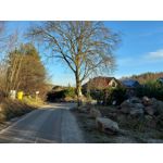 Zdjęcia użytkowników Samsung Galaxy M51 Dual SIM