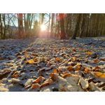 Zdjęcia użytkowników Samsung Galaxy M51 Dual SIM