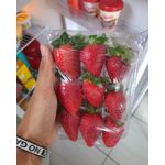 Zdjęcia użytkowników Samsung Galaxy M62 Zdjęcia użytkowników Samsung Galaxy M62