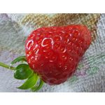 Zdjęcia użytkowników Samsung Galaxy M62 Zdjęcia użytkowników Samsung Galaxy M62