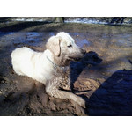 Zdjęcia użytkowników Samsung Galaxy mini 2